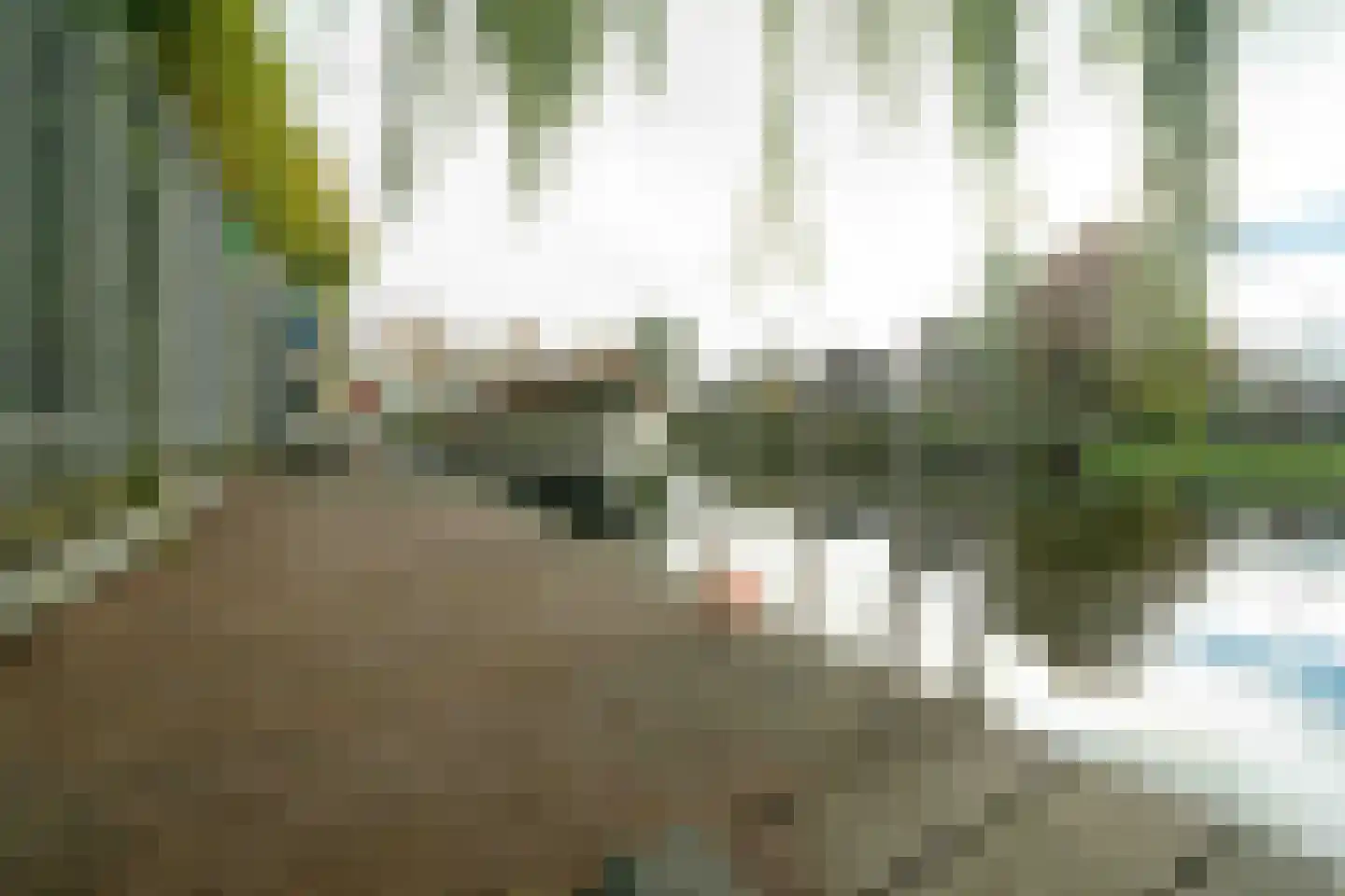 Molefinne 42 Heeg thumbnail 39