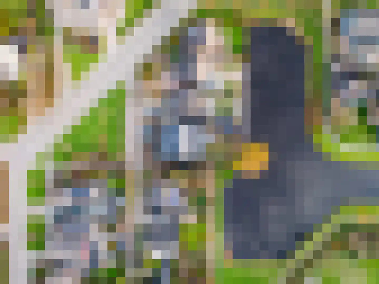 Molefinne 42 Heeg thumbnail 41