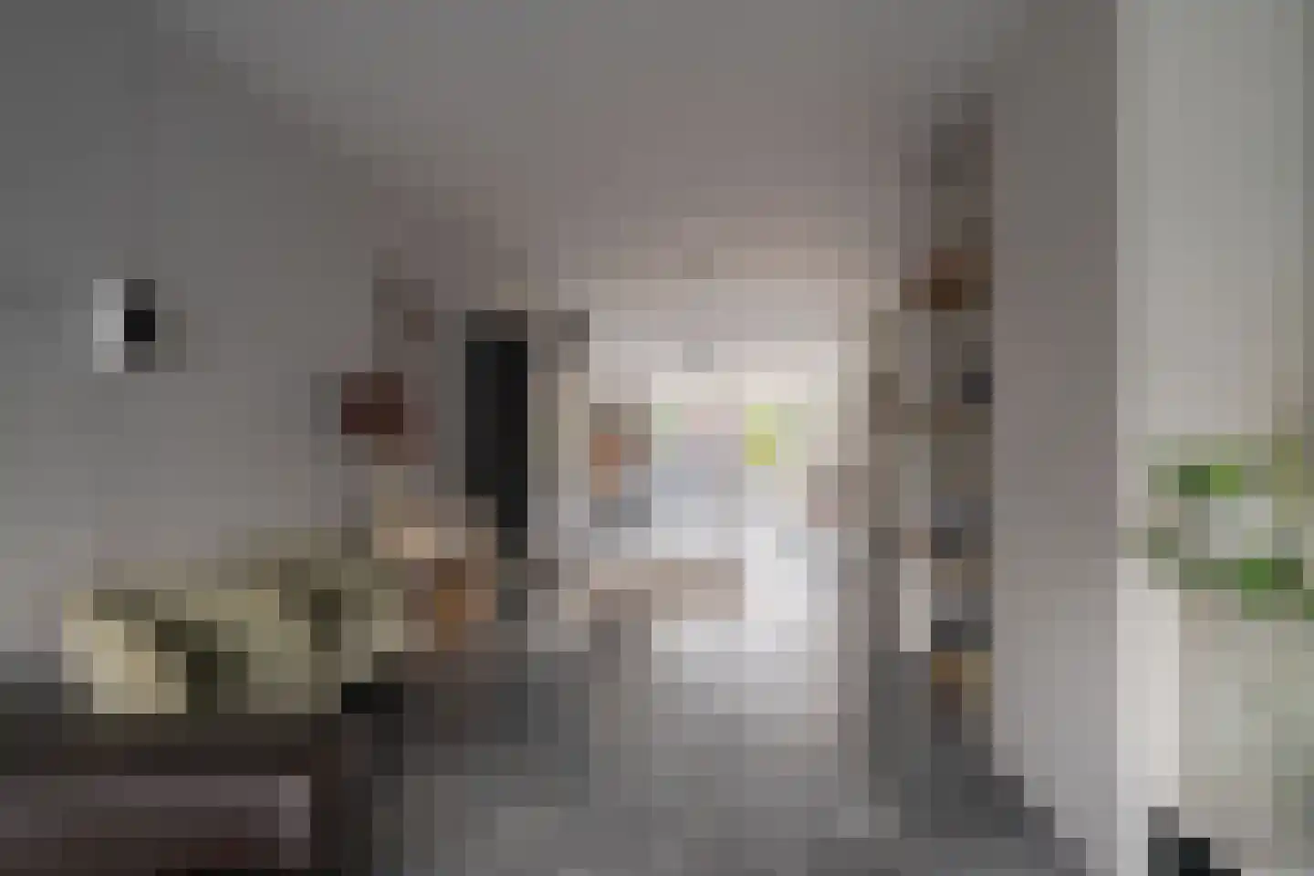 Molefinne 42 Heeg thumbnail 9