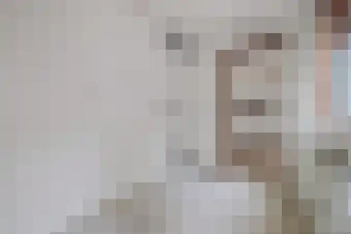 Molenaar 1 Groenlo thumbnail 13