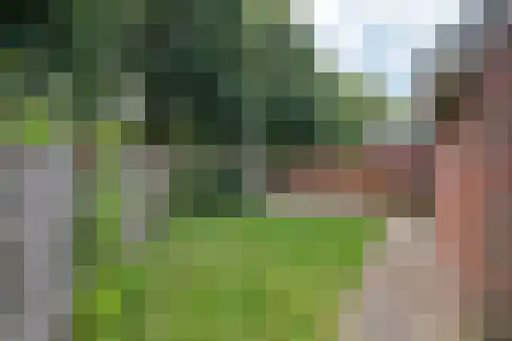 Molenaar 1 Groenlo thumbnail 35