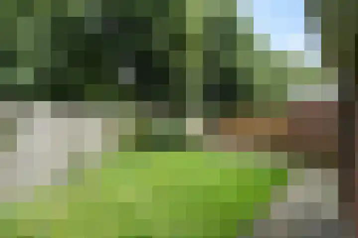 Molenaar 1 Groenlo thumbnail 37