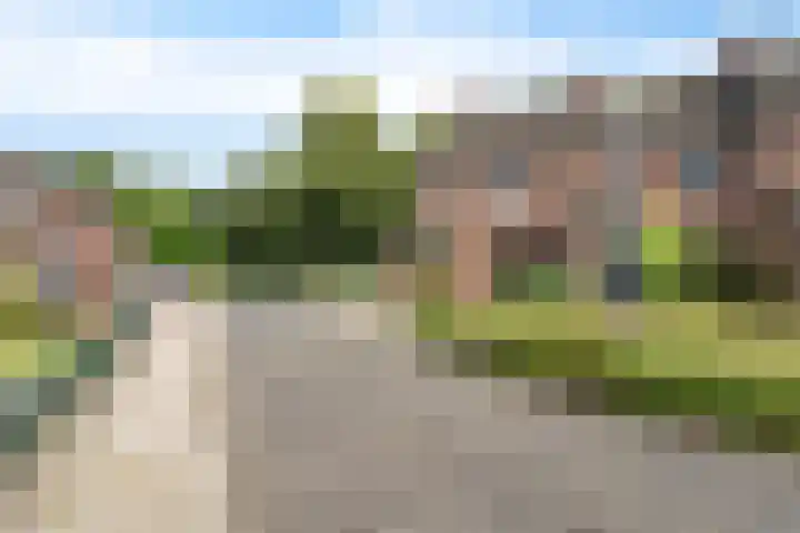 Molenaar 1 Groenlo thumbnail 41