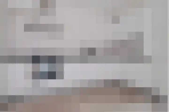 Molenaar 1 Groenlo thumbnail 8