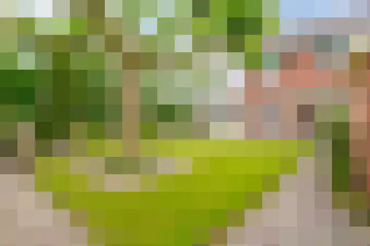 Molenaarsbreed 25 Drachten thumbnail 32