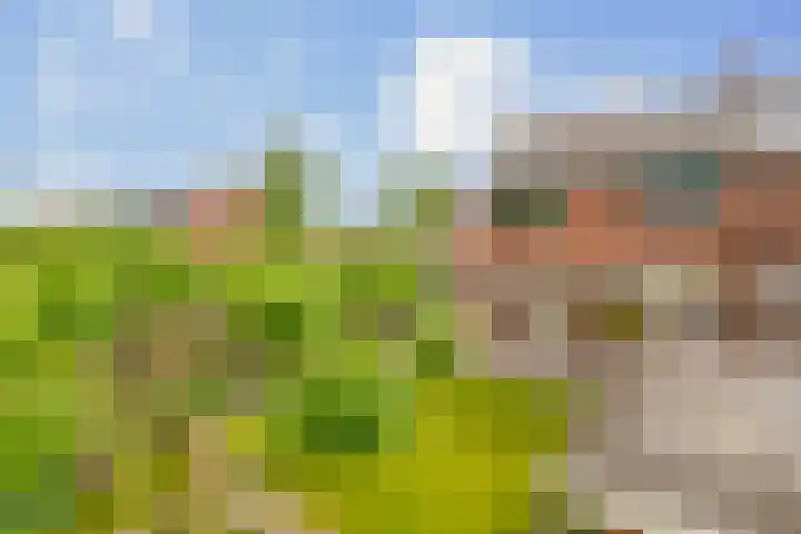 Molenaarsbreed 25 Drachten thumbnail 35