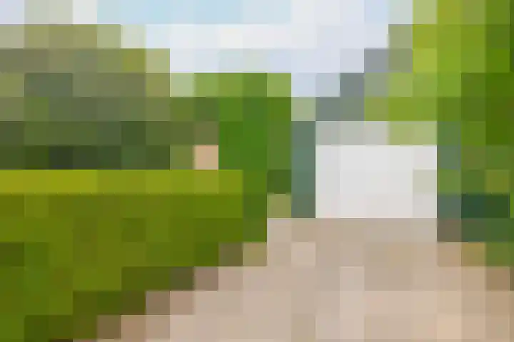 Molenaarsbreed 25 Drachten thumbnail 37
