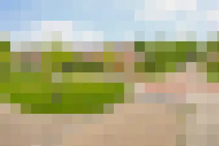 Molenaarsbreed 25 Drachten thumbnail 46