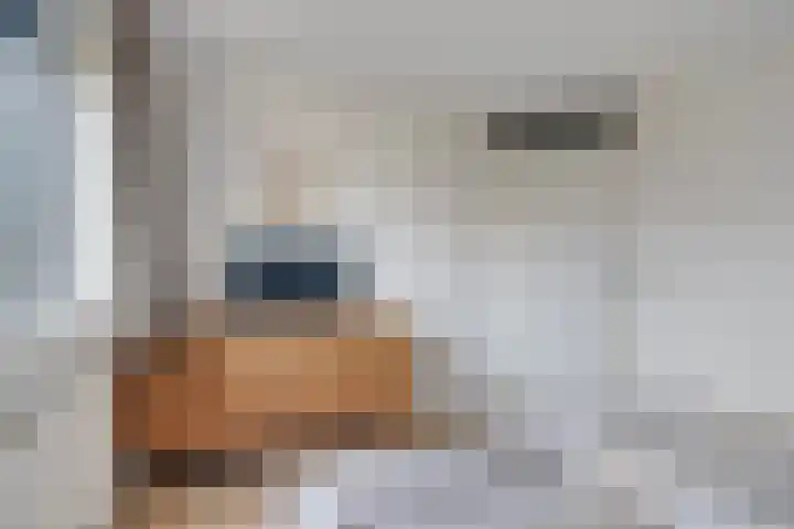 Molenaarserf 51 Houten thumbnail 30