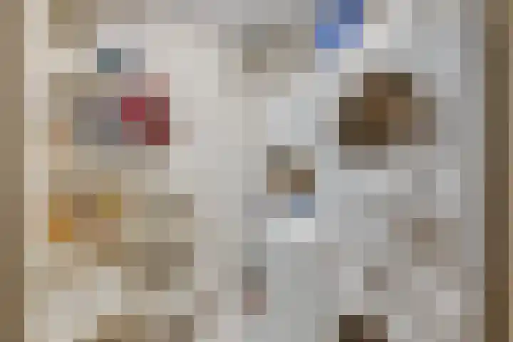 Molenaarserf 51 Houten thumbnail 32
