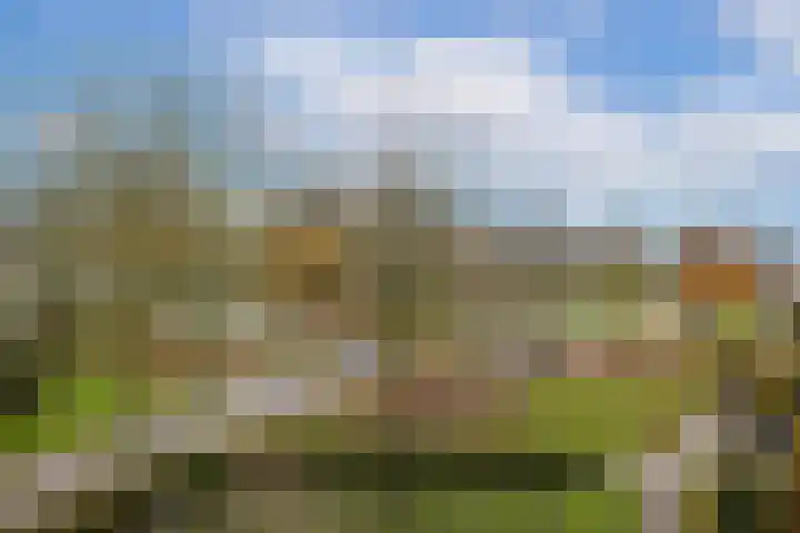 Molenaarserf 51 Houten thumbnail 6