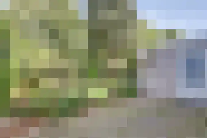 Molenacker 68 Oisterwijk thumbnail 25