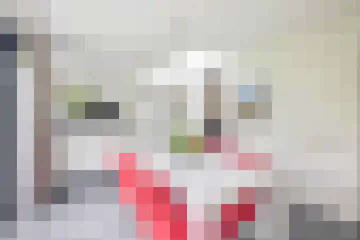 Molenakkers 10 Eersel thumbnail 17