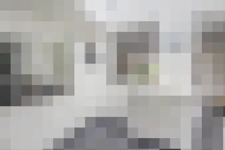 Molenakkers 10 Eersel thumbnail 20