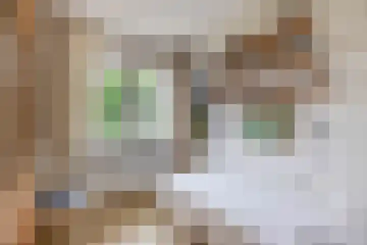 Molenakkers 10 Eersel thumbnail 26