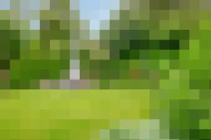 Molenakkers 10 Eersel thumbnail 36