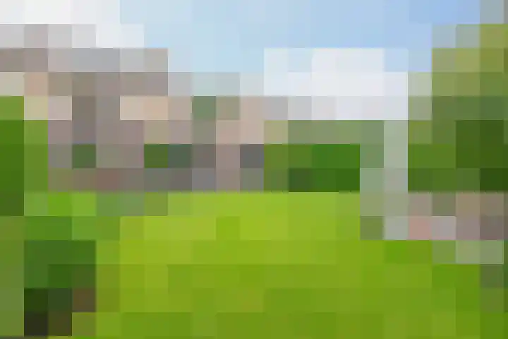 Molenakkers 10 Eersel thumbnail 4