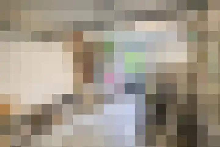 Molenakkers 10 Eersel thumbnail 42