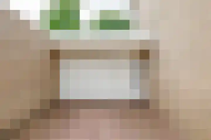 Molenakkers 10 Eersel thumbnail 44
