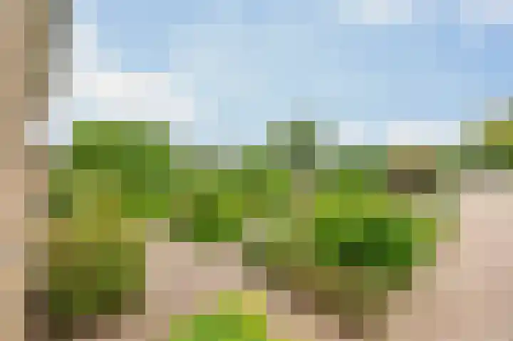 Molenakkers 10 Eersel thumbnail 45