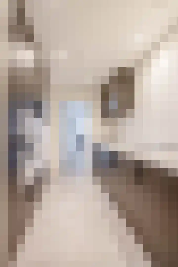 Molenbaan 3 Meijel thumbnail 12