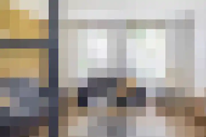Molenbaan 3 Meijel thumbnail 15