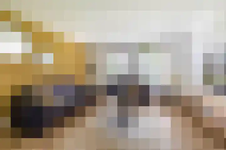 Molenbaan 3 Meijel thumbnail 16