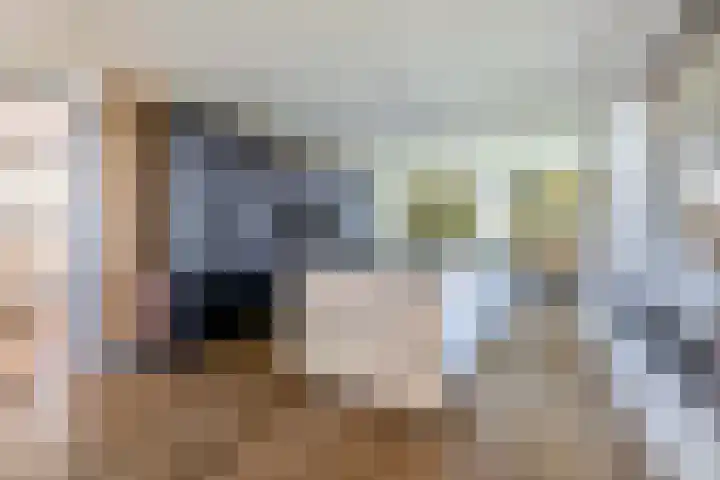 Molenbaan 3 Meijel thumbnail 22