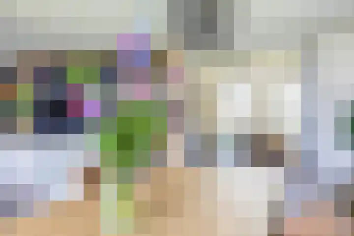 Molenbaan 3 Meijel thumbnail 26