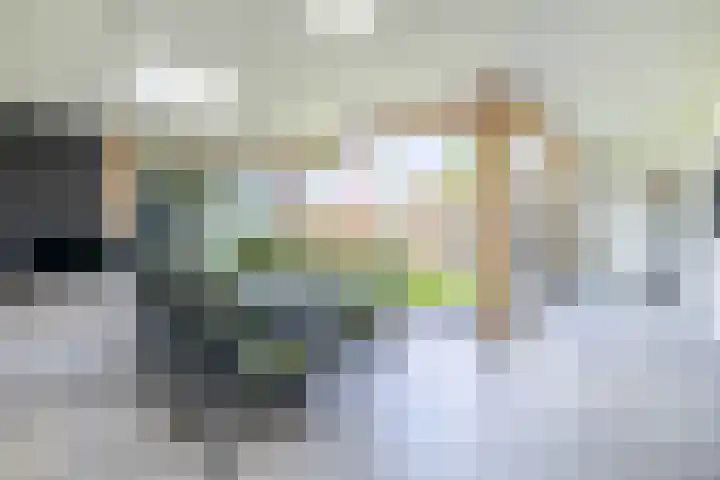 Molenbaan 3 Meijel foto 3