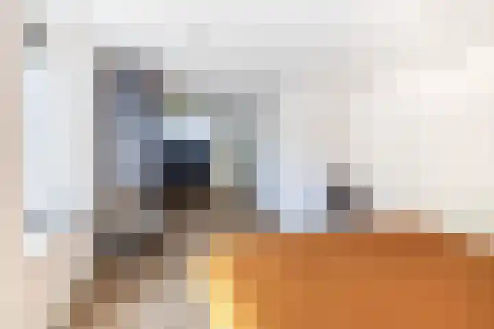 Molenbaan 3 Meijel thumbnail 36