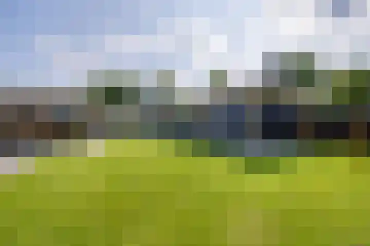 Molenbaan 3 Meijel thumbnail 4