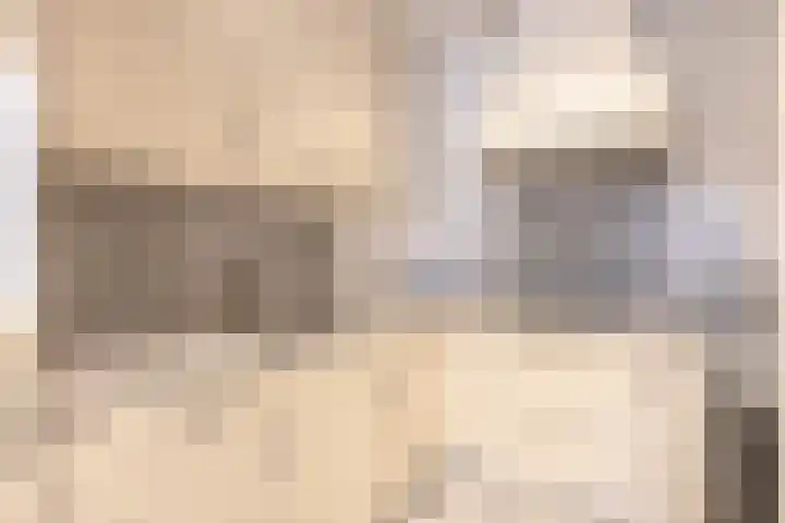 Molenbaan 3 Meijel thumbnail 44