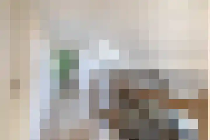 Molenbaan 3 Meijel thumbnail 50
