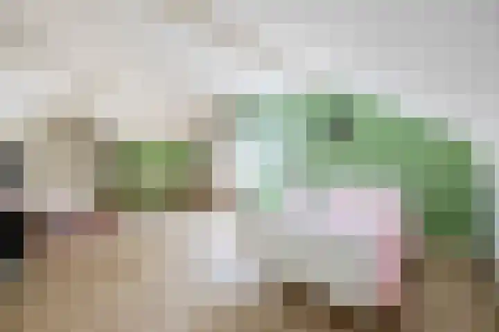 Molenbaan 3 Meijel thumbnail 51