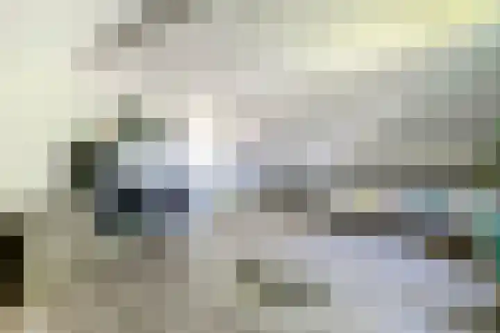 Molenbaan 3 Meijel thumbnail 54