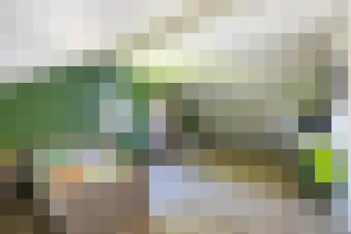 Molenbaan 3 Meijel thumbnail 55