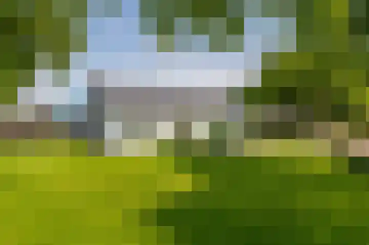 Molenbaan 3 Meijel thumbnail 6