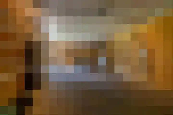Molenbaan 3 Meijel thumbnail 66