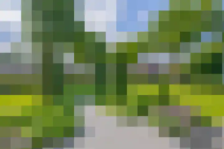 Molenbaan 3 Meijel thumbnail 69