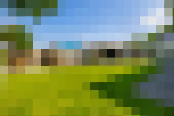 Molenbaan 3 Meijel thumbnail 73