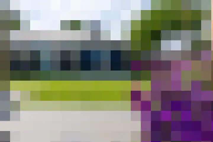 Molenbaan 3 Meijel thumbnail 74