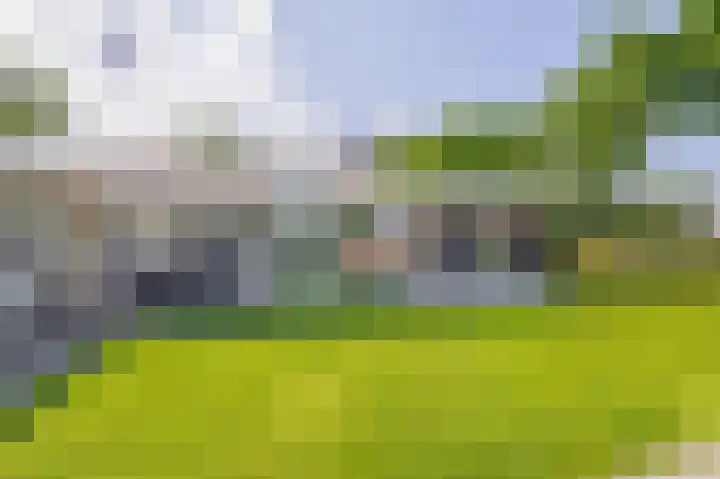 Molenbaan 3 Meijel thumbnail 77