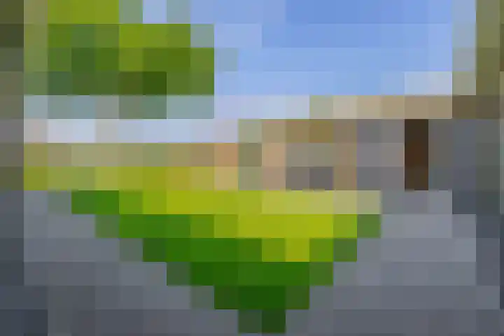 Molenbaan 3 Meijel thumbnail 78