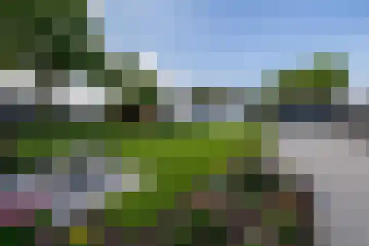 Molenbaan 3 Meijel thumbnail 83