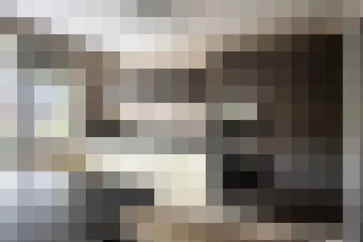 Molenbeek 10 Vaassen thumbnail 11