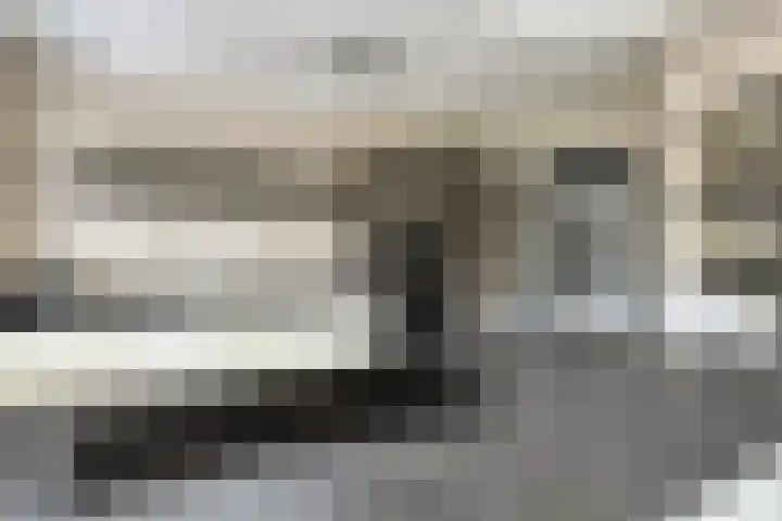 Molenbeek 10 Vaassen thumbnail 12
