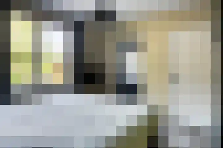 Molenbeek 10 Vaassen thumbnail 18