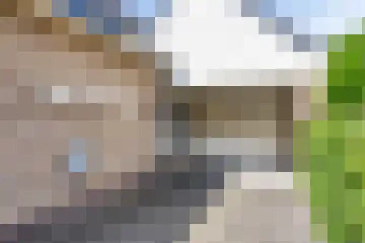 Molenbeek 10 Vaassen thumbnail 5