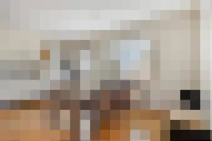 Molenbeemden 40 Veghel thumbnail 16